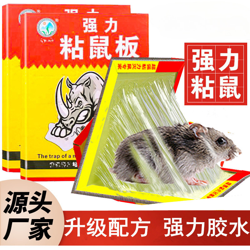 粘鼠板老鼠贴强力杀老鼠抓灭鼠笼捕鼠夹家用扑鼠神器50张家里厨房