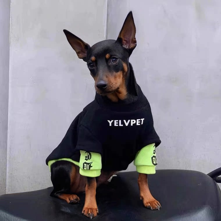 迷你杜宾犬小鹿犬专用狗狗冬衣服秋冬季小型犬吉娃娃冬装保暖卫衣