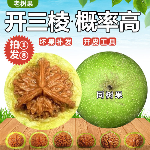 易出三棱青皮文玩核桃盘玩把件
