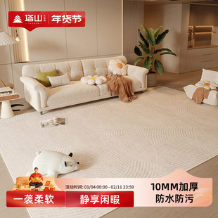 加厚地毯客厅奶油风2025新款免洗可擦免打理轻奢高级毛绒家用地垫