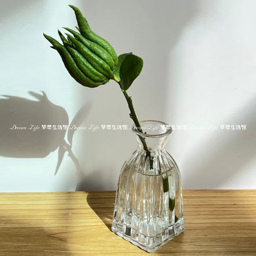 玻璃小花瓶迷你法式复古透明佛手柑水培水养插花瓶客厅装饰摆件