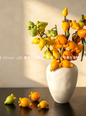 水培花瓶简约白色不规则陶瓷器皿