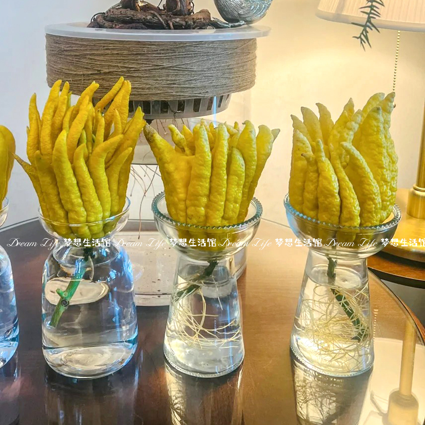 玻璃花瓶水培器皿花盆观赏插花创意佛手柑花瓶水养摆件养花容器
