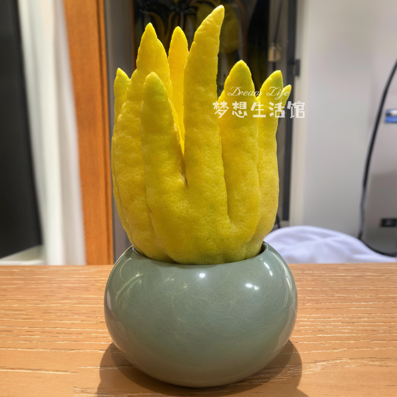 禅意风佛手柑花瓶花器托盘器皿陶瓷中式古风茶室茶台客厅摆放香橼