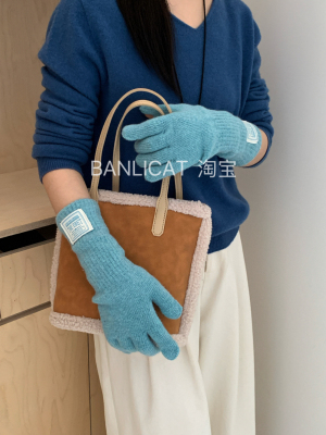 Banlicat 韩代同款羊毛混纺分指手套女秋冬保暖可触屏显白高颜值