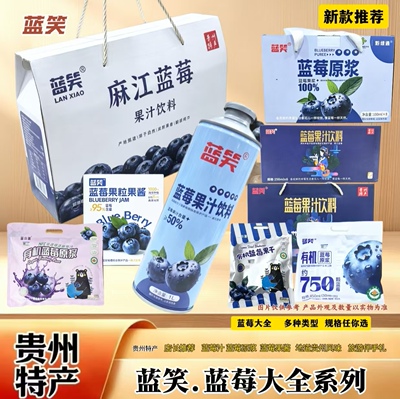 蓝笑贵州有机蓝莓果汁原浆礼盒