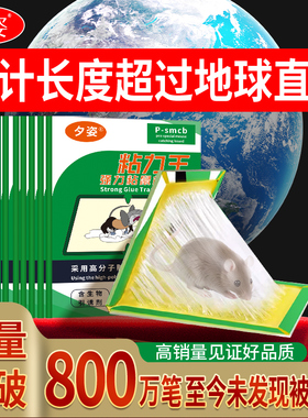 超强力粘鼠板捉粘大老鼠贴沾胶抓灭鼠老鼠贴超强杀鼠家用捕鼠神器
