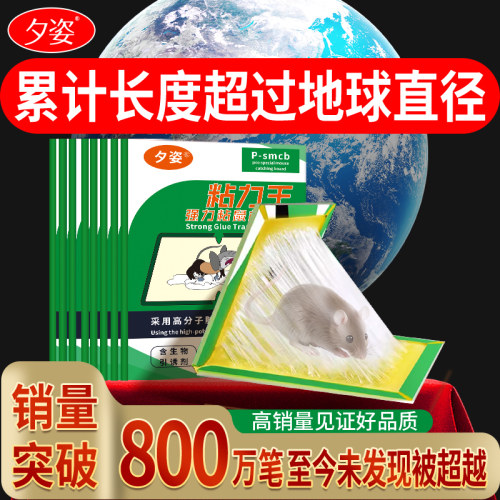 强力粘鼠板夕姿粘鼠胶抓不住退款