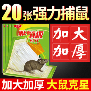 粘鼠板强力沾鼠超大号老鼠胶贴家用抓捉黏粘灭捕鼠神器正品 捕鼠器