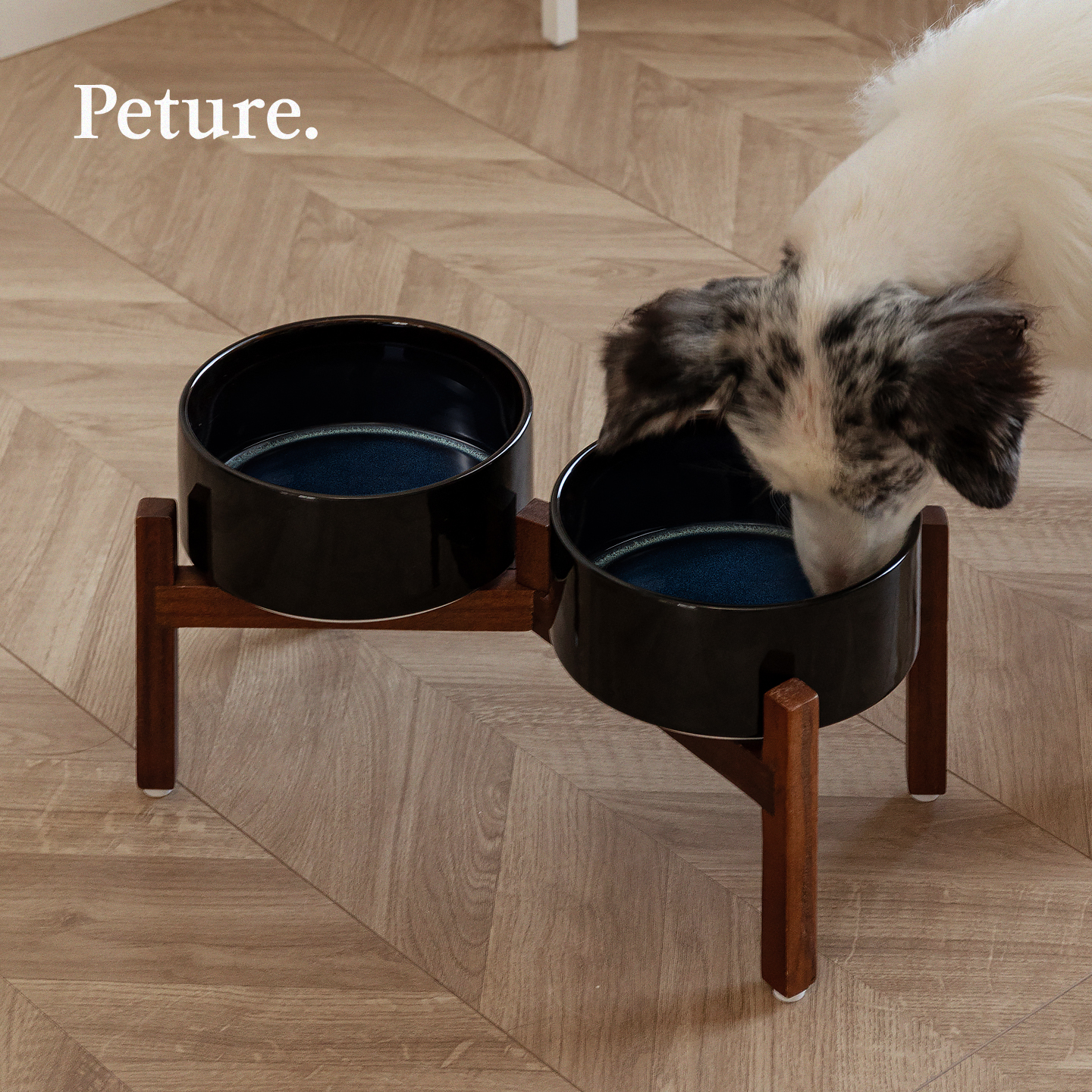 Peture陶瓷狗碗星空纹理