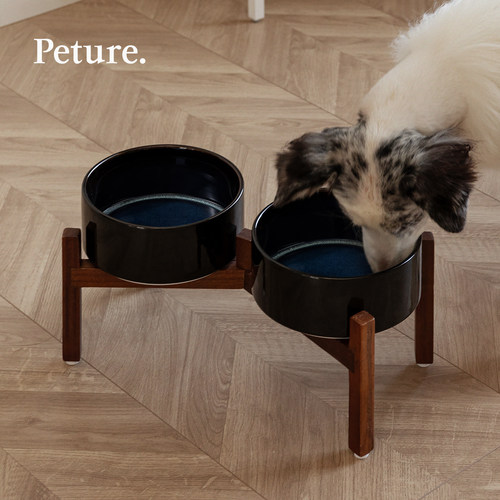 Peture陶瓷狗碗星空纹理