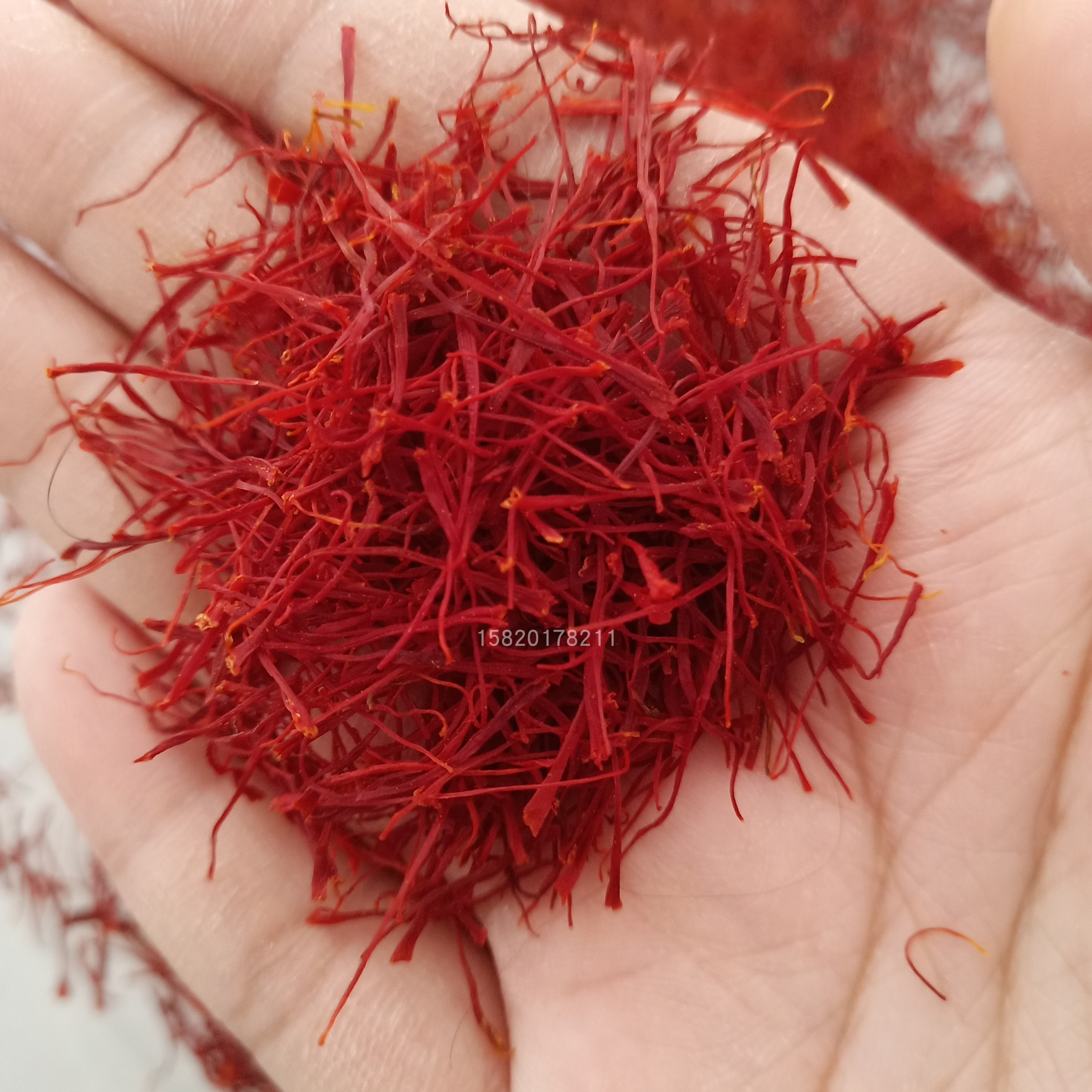 藏红花25g包邮 西红花 10g 5克3克1克茶伊朗藏红花花茶泡水