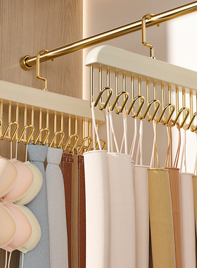 内衣吊带木制衣架收纳丝袜皮带丝巾多功能神器衣柜挂钩打包收纳袋