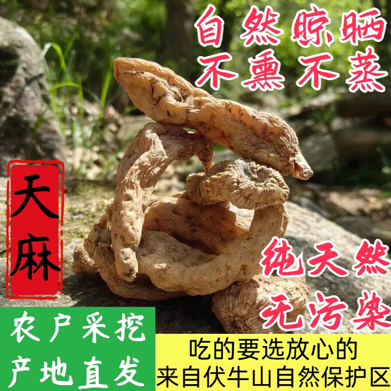 正宗野生天麻冬天麻中药材干货非云南产天麻煲汤泡酒治头晕
