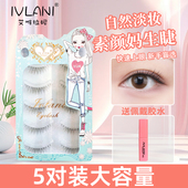艾唯拉妮假睫毛女自然款 仿真素颜空气仙子毛整条贴漫画眼睫毛537W