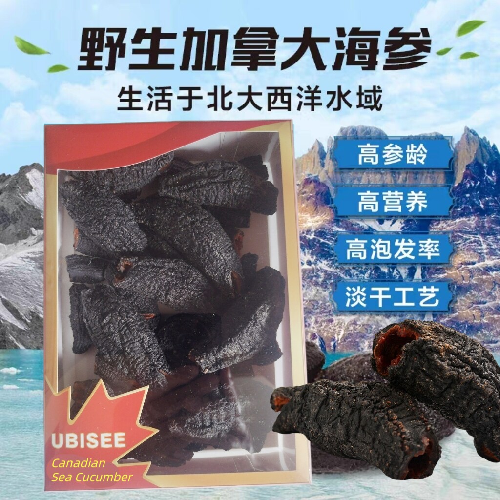 【18-22头】加拿大进口海参 淡干圆筒北极参 盒装454克超大个头