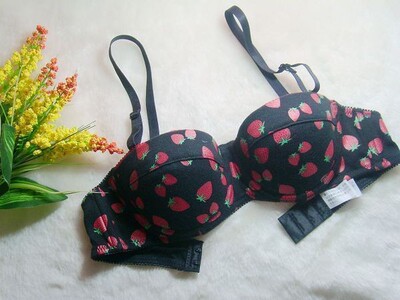 日本内衣女外贸出口少女文胸纯棉半杯甜美士多啤利有插片169570B