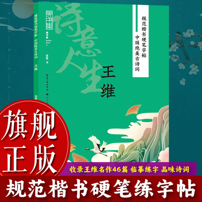 中国绝美古诗词诗意人生王维