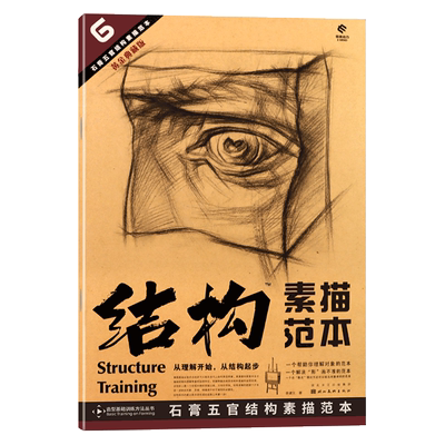 6石膏五官结构素描范本