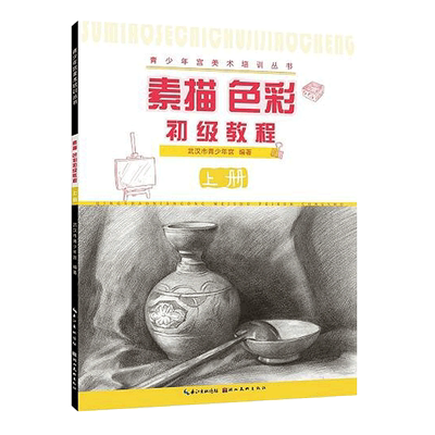 素描色彩初级教程自学绘画技法