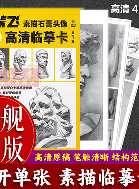 【旗舰正版】熊飞素描石膏头像8开单张高清临摹卡 成人初学者素描速写绘画技法 40幅近距离临摹卡片结构明暗照片范画画册画集书籍