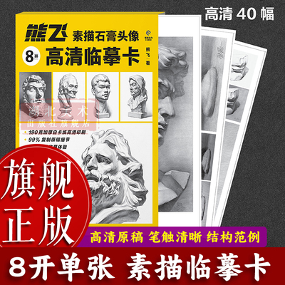 熊飞素描石膏头像单张高清临摹卡