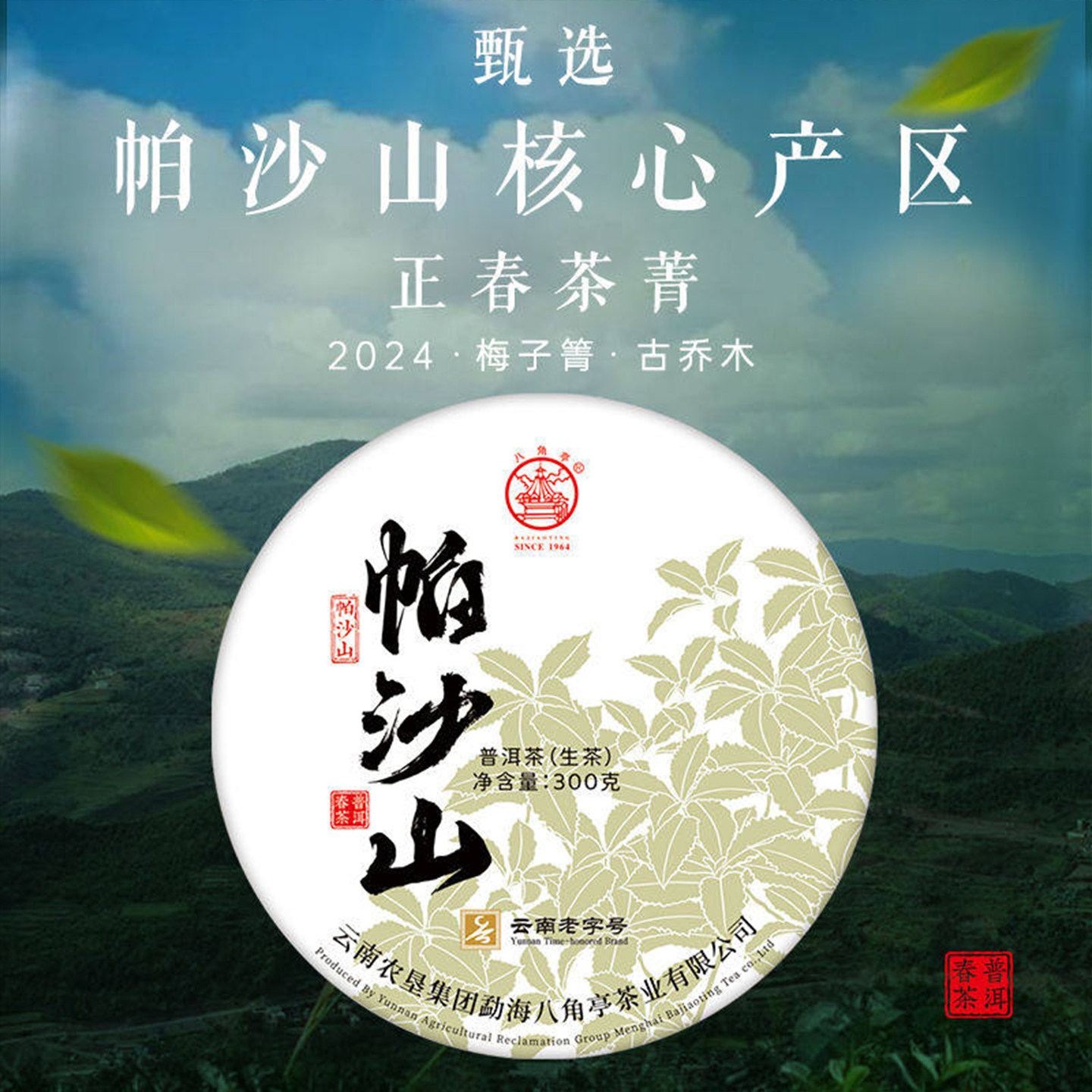 八角亭2024年帕沙山早春普洱茶生茶饼古树春茶普洱生茶叶300g饼茶