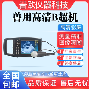 兽用B超机羊牛用b超母猪测孕仪器猪比超机超声波怀孕彩超检孕背膘