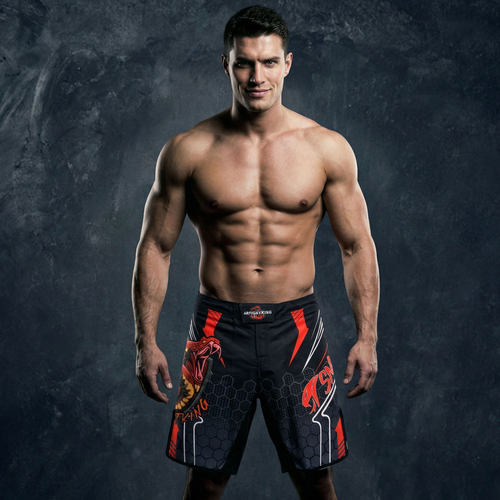 MMA运动搏击散打训练短裤UFC耐磨