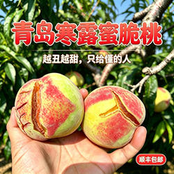 青岛崂山寒露蜜桃子山东毛桃青皮红心脆甜桃当季新鲜水果秋冬硬桃