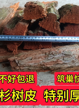 胡蜂筑巢材料杉木树皮黄脚红娘王马蜂养殖专用朽木5斤包邮红桉树