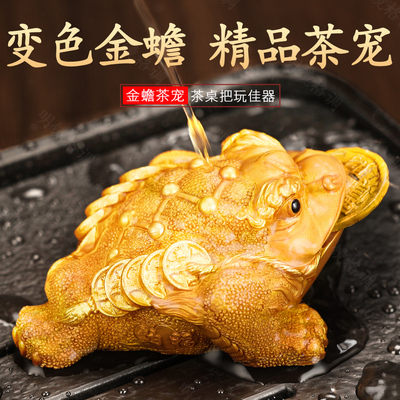 茶宠摆件蟾蜍精品茶玩宠物茶盘茶台茶具金蟾可养变色摆件配件饰品