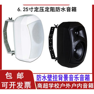 天籁6.25寸定压定阻防水背景音乐壁挂音箱商超学校户外防水tlg63