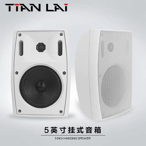 天籁背景音乐tl-g51壁挂音箱5寸挂式音响定阻挂墙喇叭家庭会议室