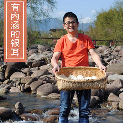 山珍椴木银耳无硫仿野生雪耳办公室孕妇儿童食养软糯耳易出胶通江