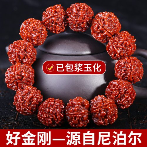 天然正宗尼泊尔大金刚菩提子佛珠手串手链机刷玉化金刚菩提五瓣