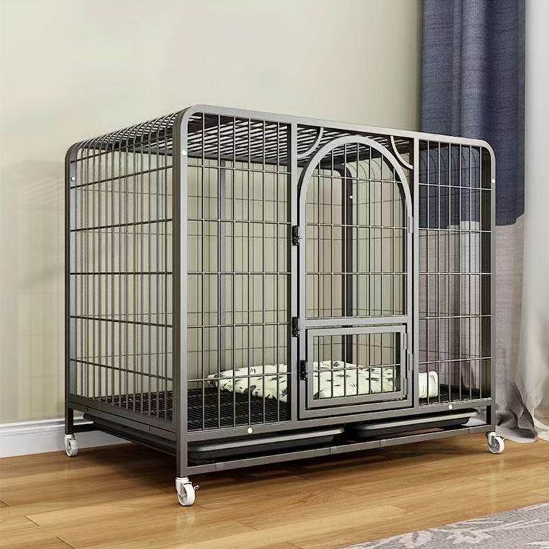 狗笼子小型犬大带厕所中