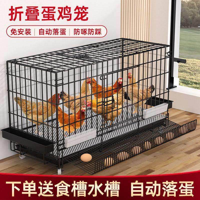 鸡笼子家用自动清粪母鸡下蛋大号室内外防雨鸡鸭鹅养殖清仓鹌鹑11