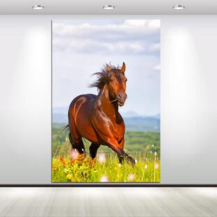 骏马装饰画一匹马吃草的马简约居家装饰画宿舍儿童房壁画动物贴画