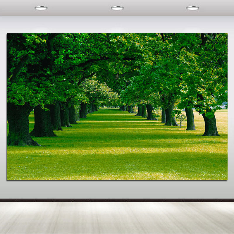 树林风景画绿树大树客厅卧室书房墙贴画绿色护眼植物装饰壁画自粘