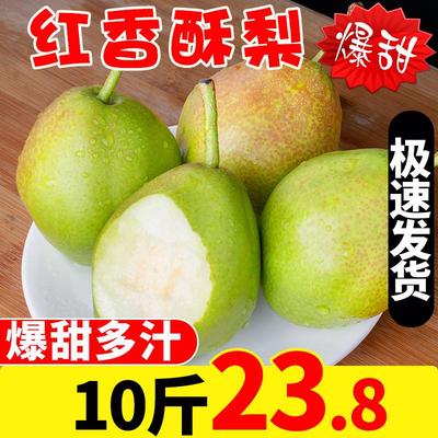 红香酥梨梨子新鲜水果当季整箱香梨包邮应季5斤青雪酥梨现季10