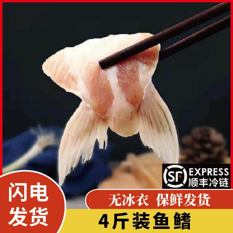 新鲜冷速急冻巴沙鱼鳍鱼肥油鲜活鱼鳍翅鮰鱼鳍烧烤肉食材鱼腩商用
