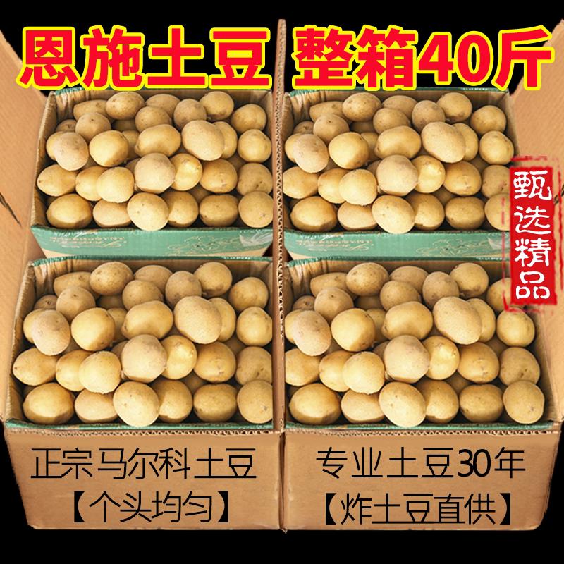 恩施小土豆新鲜富硒40斤黄心小士豆商用迷你高山洋芋珍珠马铃薯