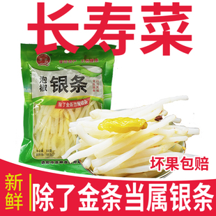 银条菜河南洛阳偃师地方特产泡菜300gX6袋装泡椒味原味荟峰私房菜