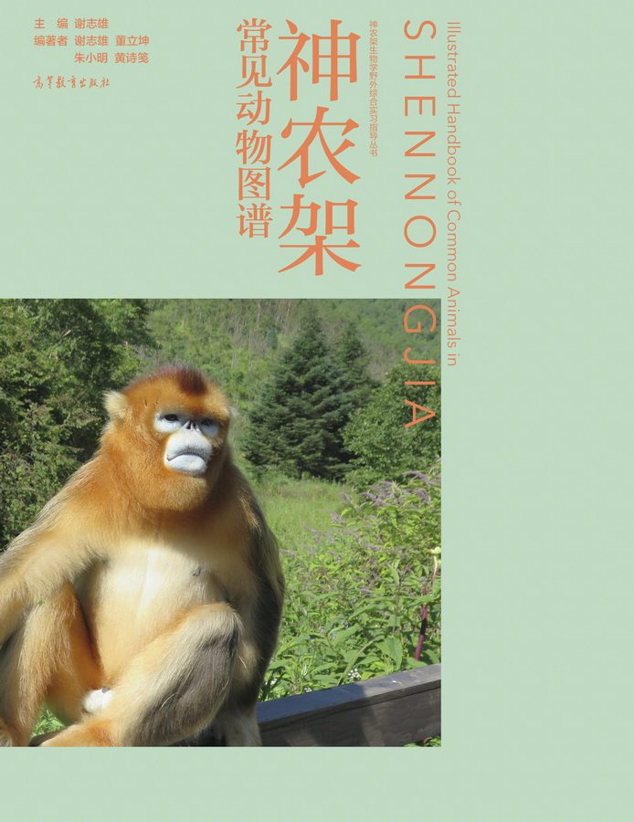 神农架 常见动物图谱