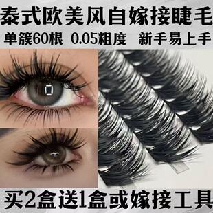泰式欧美亚裔自嫁接假睫毛女60D单簇分段式朵毛浓密卷翘适合新手