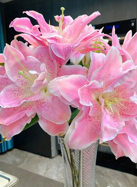 A级粉拉菲重瓣香水百合10支大花苞云南直发可开发票
