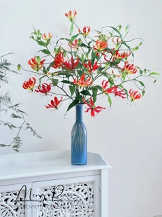 进口嘉兰百合5支鲜切花热情红火送礼百搭可开发票