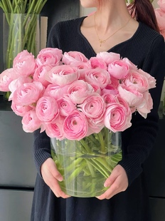 河内洋牡丹樱花粉洋牡丹5支花毛茛新鲜切花鲜花云南基地直发