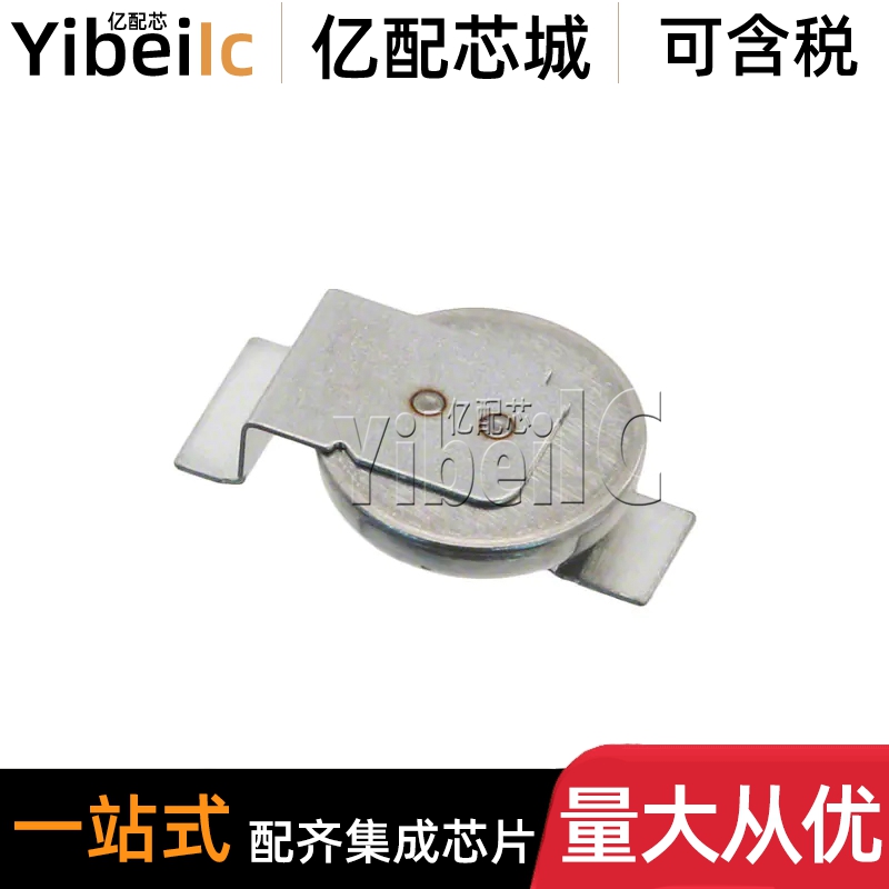 DSK-3R3H204T614-H2L SMD 200MF -20% +80% 3.3V 双层电容器 芯片